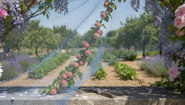Filets pour arbres fruitiers : quel type choisir selon
